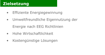 Zielsetzung 	Effiziente Energiegewinnung 	Umweltfreundliche Eigennutzung der Energie nach EEG Richtlinien 	Hohe Wirtschaftlichkeit 	Kostengnstige Lsungen